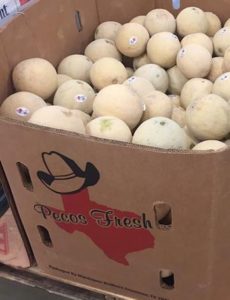 mandujano brothers produce cantaloupes