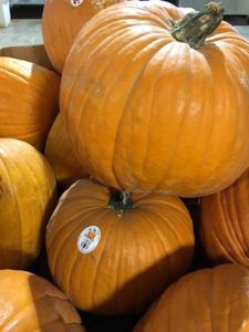 mandujano brothers produce pumpkins