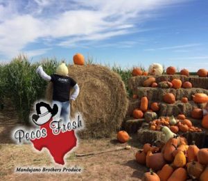 mandujano brothers pumpkin patch